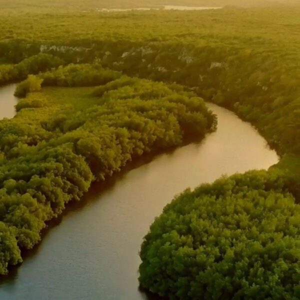 Tensions Rise as Dominican Republic Closes Border Amidst River Massacre Canal Dispute with Haiti